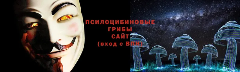 что такое наркотик  Вологда  OMG рабочий сайт  Псилоцибиновые грибы Psilocybine cubensis 